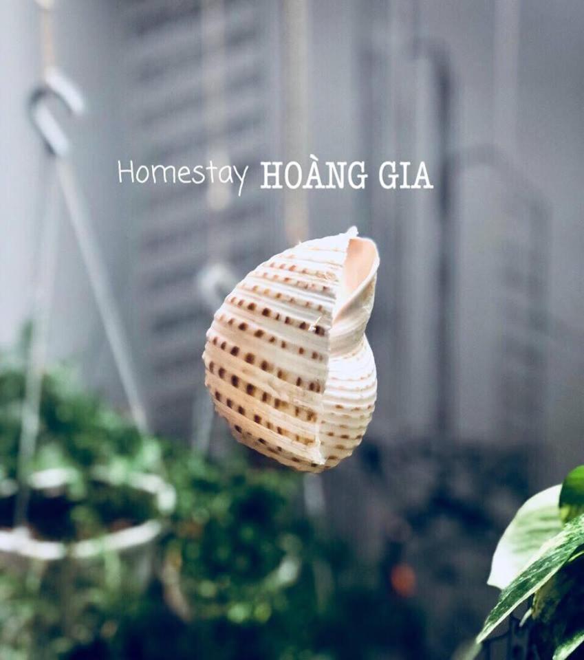 Homestay Hoang Gia Quy Nhon Buitenkant foto